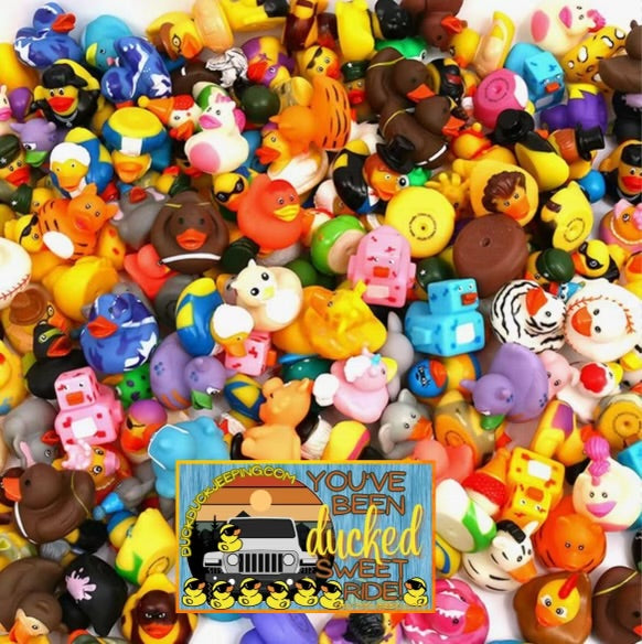 Duck Duck Jeep Cards You have been ducked Duck Tag Ducking